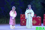 秦雪梅观文 片段