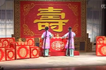 杨门女将 全剧