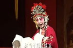 杨门女将 全剧舞台版