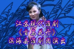 ڻ ȫ