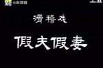 假夫假妻 上