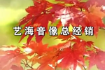 尼姑妈妈 