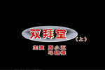 ˫
