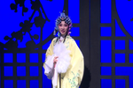 新秦雪梅