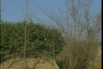 Ǯ