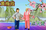 点大麦  片段
