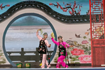 拾棉花  片段