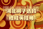 穆桂英挂帅 选段 片段